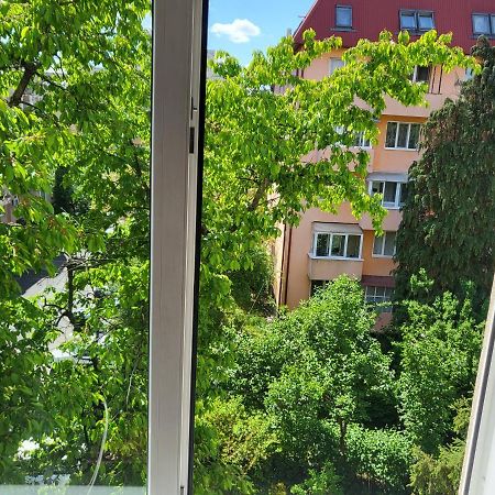 באיה מארה Apartament Florilor מראה חיצוני תמונה