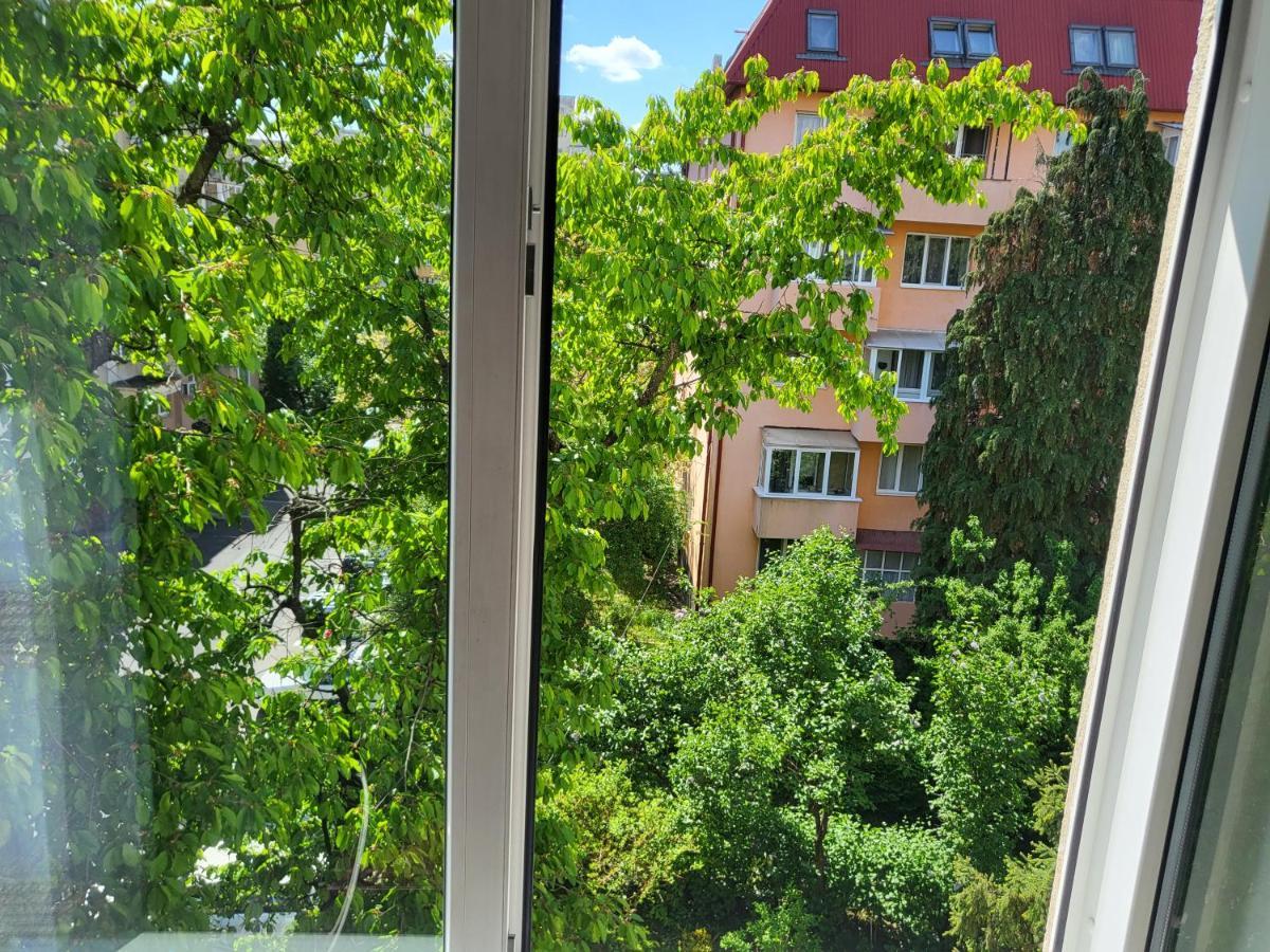 באיה מארה Apartament Florilor מראה חיצוני תמונה