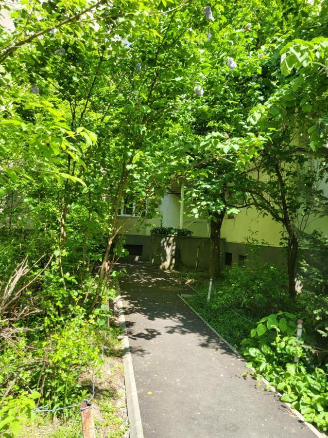 באיה מארה Apartament Florilor מראה חיצוני תמונה